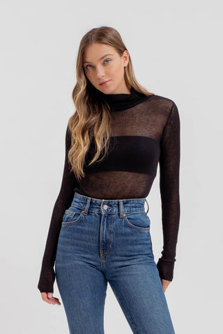 Sheer Turtle Neck Knit Top
