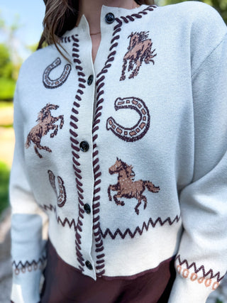 A close-up of a person wearing a light blue knit cardigan with brown embroidered horseshoes, horses, and zigzag trim, photographed outdoors.