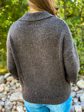 Dark Brown Collared Cardigan