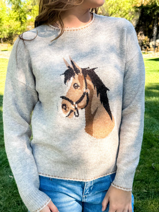 A person outdoors wearing a light heather gray knit sweater with a large horse head graphic in tan, brown, and black across the chest, paired with blue jeans.