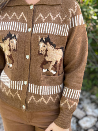 Close-up of the knit horse design and front pockets on a brown cardigan | V-Rae's Boutique