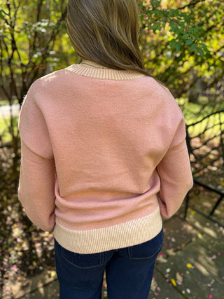 Back view of a pink Brooks puppy knit sweater | V-Rae's Boutique