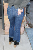 Risen Cropped Flare