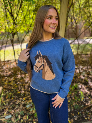 Woman in a blue horse graphic knit sweater with dark jeans | V-Rae's Boutique