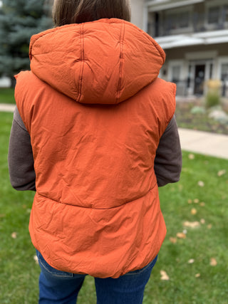 Hooded Puffer Vest