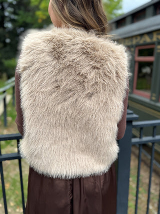 Back view of a taupe faux fur vest | V-Rae's Boutique