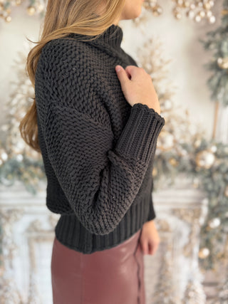 Lizzie Turtle Neck Sweater
