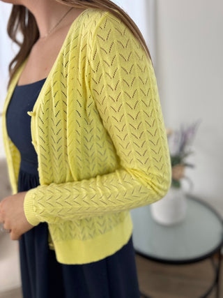 Sunny Chevron Knit Cardigan - V - Rae’s Boutique