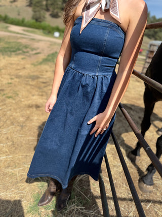 Woman in a blue dress standing next to a horse in an outdoor setting