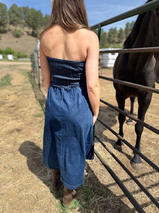 Woman in a blue dress standing next to a horse in an outdoor setting