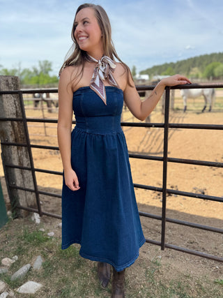 Woman in a blue dress standing in front of a fence with horses in the background