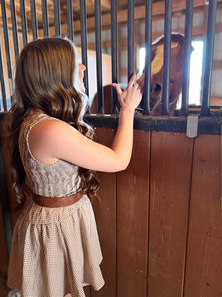 Woman in a checkered dress petting a horse through a stable door.