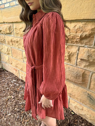A woman wearing a rust-colored, long-sleeved pleated mini dress with a tie waist, standing outdoors against a tan stone wall.